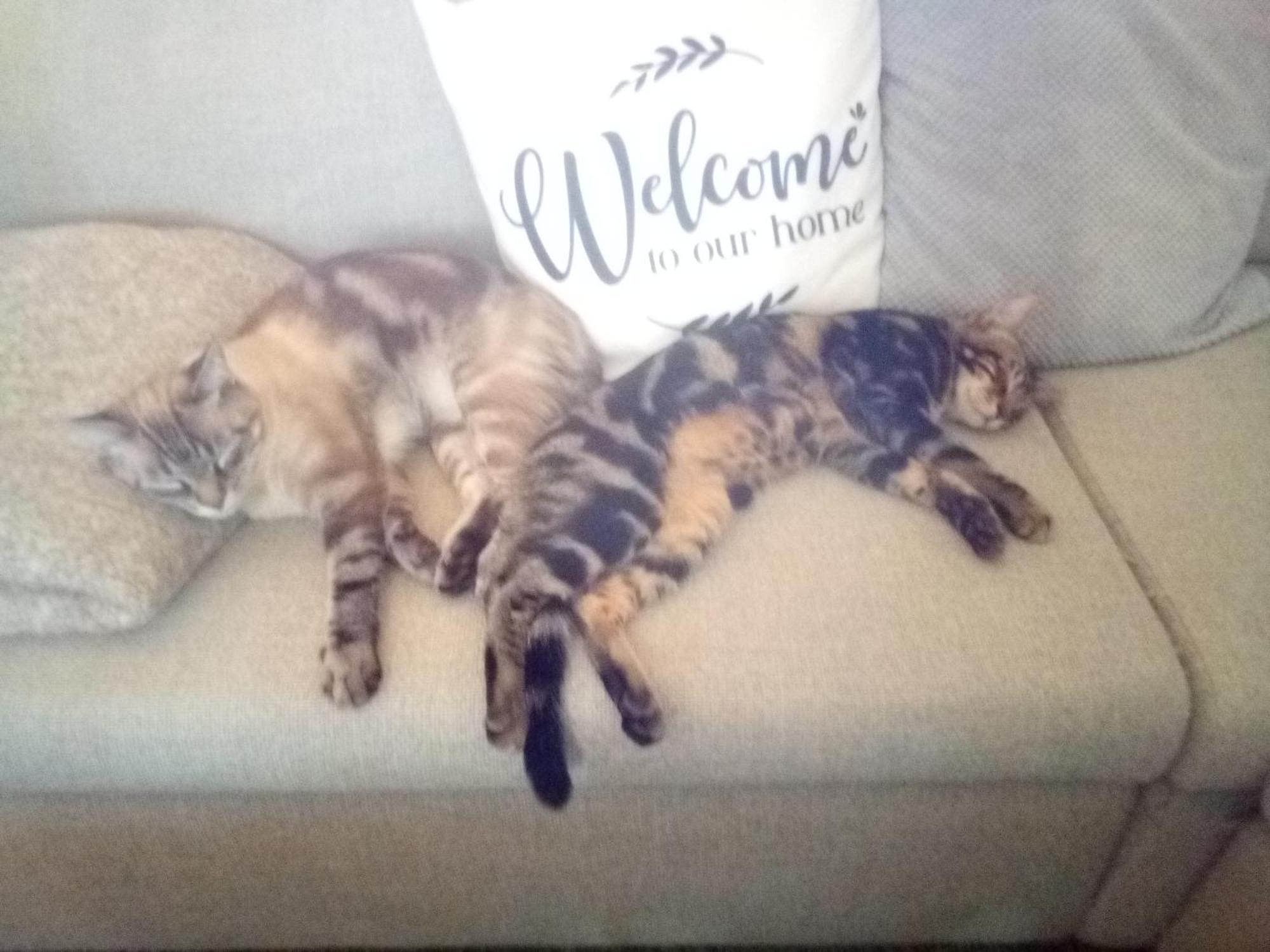 D'hotes Les Trois Rames